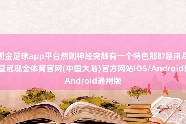 现金足球app平台然则神经突触有一个特色那即是用尽废退-皇冠现金体育官网(中国大陆)官方网站IOS/Android通用版