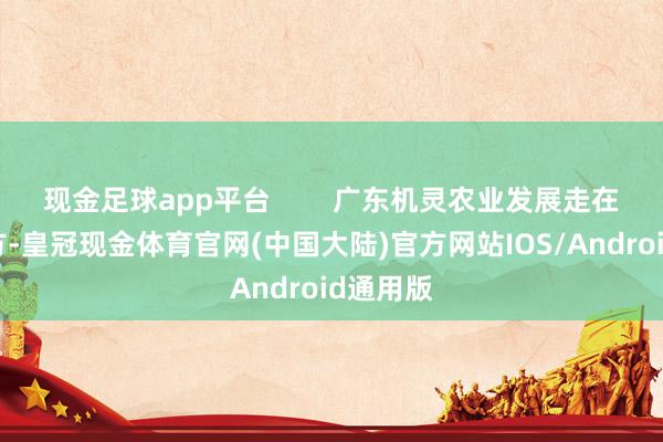 现金足球app平台        广东机灵农业发展走在寰宇前方-皇冠现金体育官网(中国大陆)官方网站IOS/Android通用版