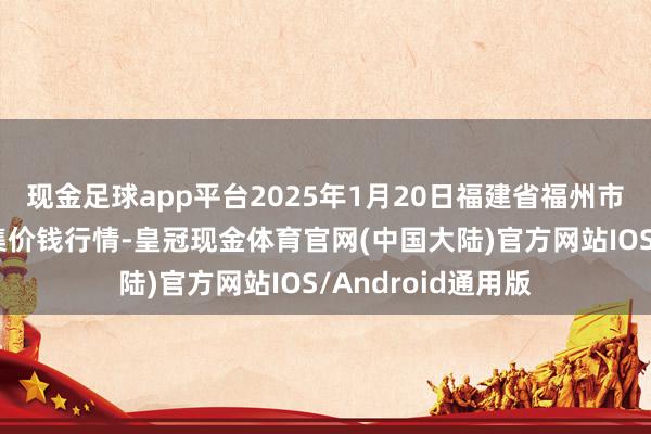 现金足球app平台2025年1月20日福建省福州市海峡蔬菜批发市集价钱行情-皇冠现金体育官网(中国大陆)官方网站IOS/Android通用版